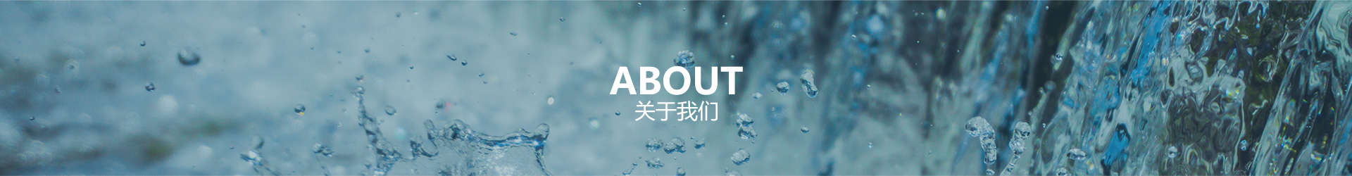 关于永乐高60net