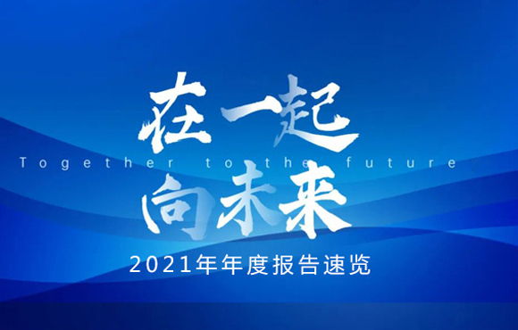 2021年年度汇报快览