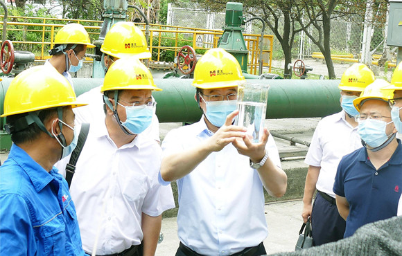 集团公司党委常委、副总经理胡乃民调研永乐高60net麦王环境