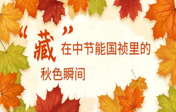 四时国祯丨“藏”在永乐高60net里的秋色瞬间